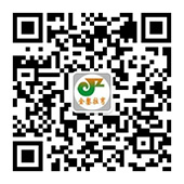 扫一扫添加官网微信公众号